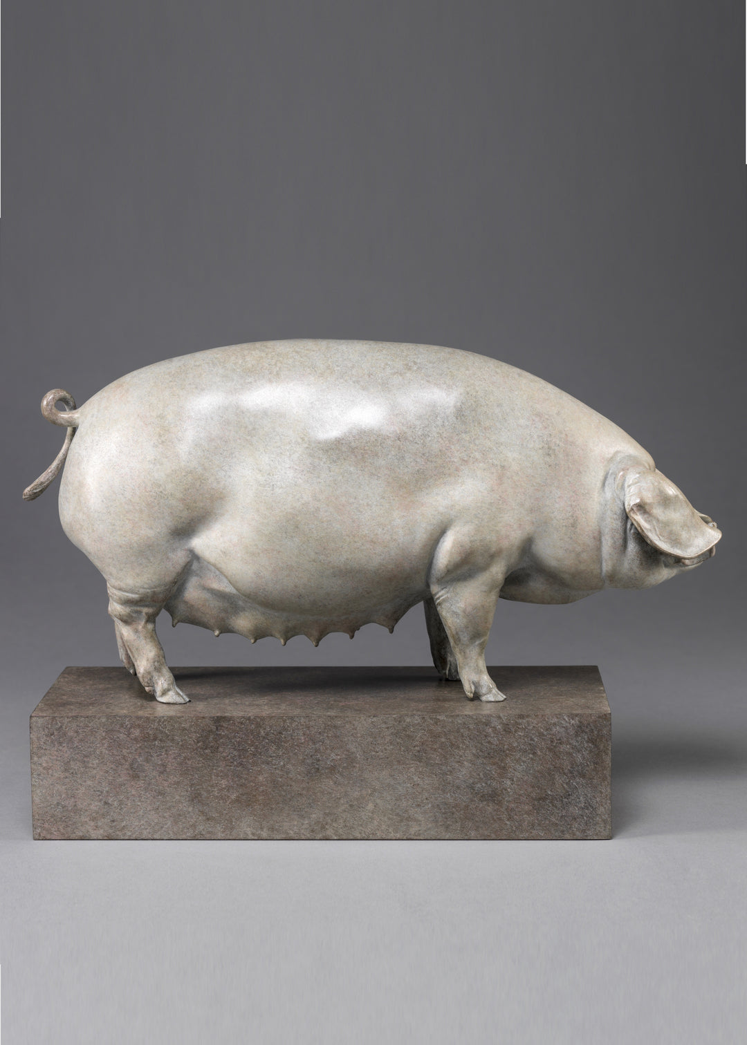 A finely sculpted bronze British Lop pig by Nick Bibby, shown with a soft white and pink-tinted patina that highlights the breed’s gentle curves, leaf-like ears and balanced form, presented on a stone-toned plinth.