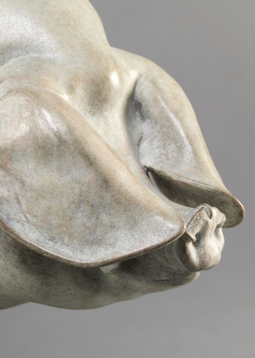 A finely sculpted bronze British Lop pig by Nick Bibby, shown with a soft white and pink-tinted patina that highlights the breed’s gentle curves, leaf-like ears and balanced form, presented on a stone-toned plinth.