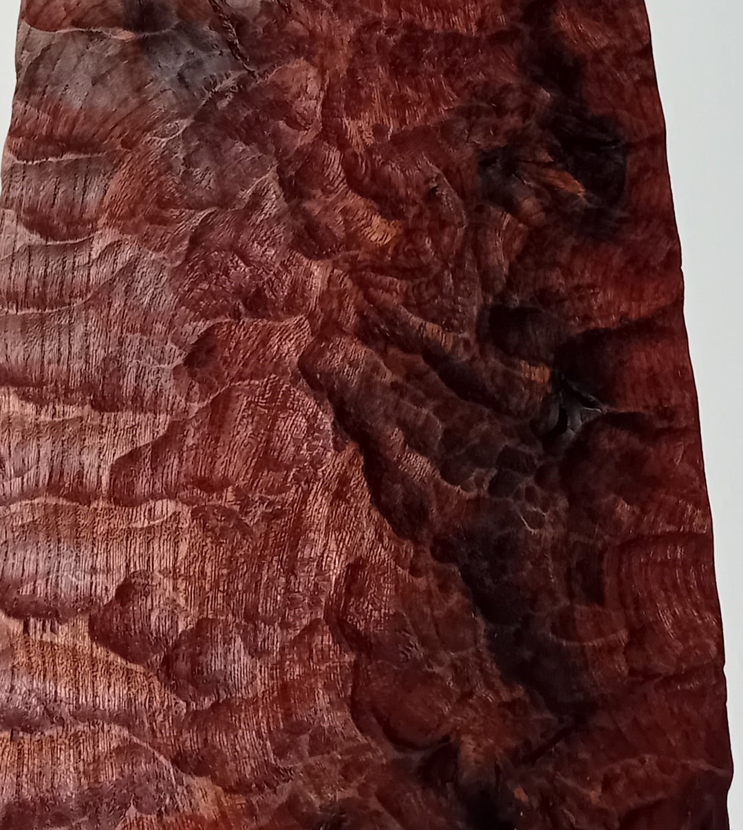 Blade by Nicola Beattie – a tall, slender, hand-carved elm sculpture with an elongated leaf-like or blade-shaped form. The surface is deeply textured with rhythmic chisel marks, finished in rich reddish-brown tones with areas of darker burnished grain and natural patterning. Mounted on a tall black rectangular base atop a square plinth, the piece stands vertically like a minimalist totem. Its organic contours and refined symmetry evoke ancient tools or ceremonial artefacts, blending contemporary abstraction