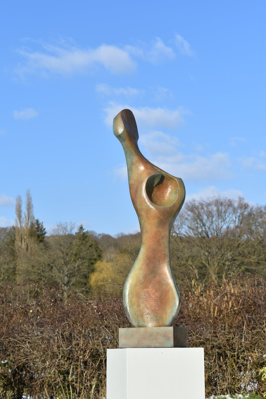 Bone Form IV — abstract bronze sculpture by Nicola Godden inspired by the natural curves and hollows of animal bone. The piece has a tall, sinuous form with a hollowed centre, organic surface texture and warm bronze patina shifting from earthy brown to soft green and gold highlights. Displayed outdoors on a one-metre timber plinth against a bright blue sky and winter landscape.