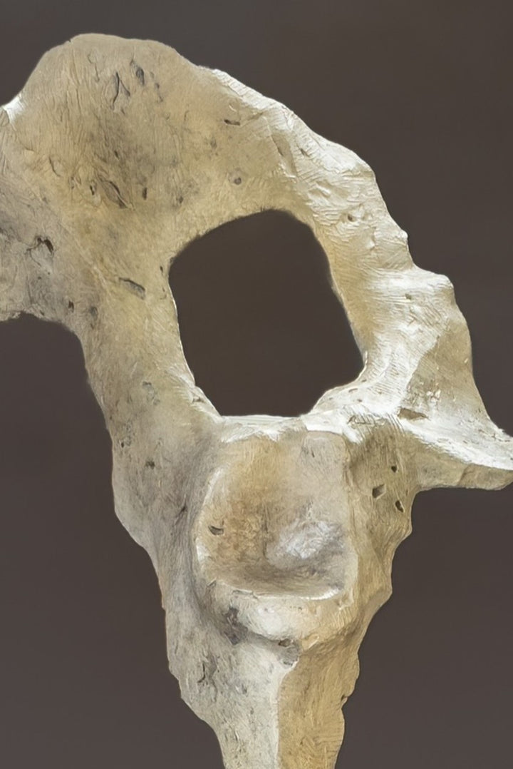 Abstract bronze sculpture by Nicola Godden titled “Bone Form VI”, featuring an elongated organic form with a hollowed negative space near the upper section, inspired by skeletal and geological structures. The sculpture rises vertically from a tall rusted steel plinth, with a softly textured, patinated bronze surface that emphasises erosion, balance, and the quiet strength of natural forms within contemporary sculptural practice.