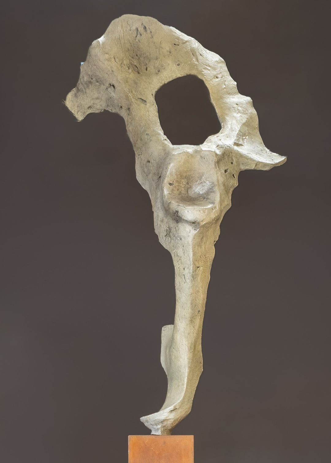 Abstract bronze sculpture by Nicola Godden titled “Bone Form VI”, featuring an elongated organic form with a hollowed negative space near the upper section, inspired by skeletal and geological structures. The sculpture rises vertically from a tall rusted steel plinth, with a softly textured, patinated bronze surface that emphasises erosion, balance, and the quiet strength of natural forms within contemporary sculptural practice.