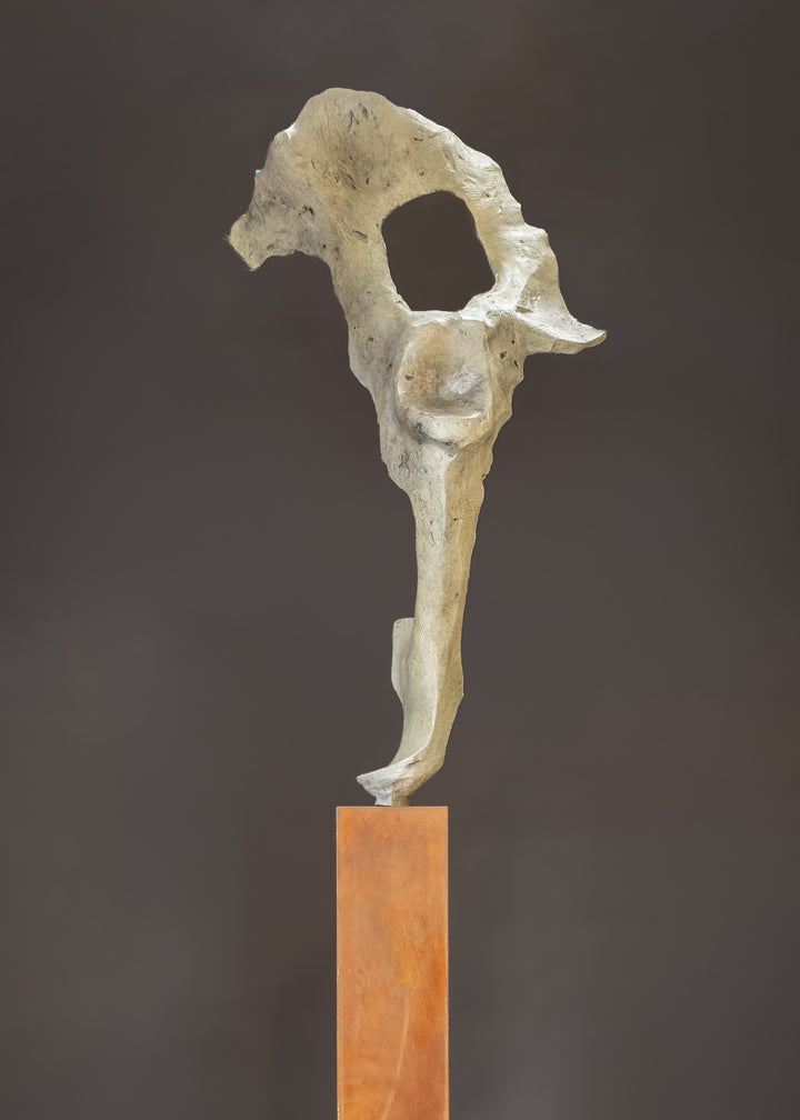 Abstract bronze sculpture by Nicola Godden titled “Bone Form VI”, featuring an elongated organic form with a hollowed negative space near the upper section, inspired by skeletal and geological structures. The sculpture rises vertically from a tall rusted steel plinth, with a softly textured, patinated bronze surface that emphasises erosion, balance, and the quiet strength of natural forms within contemporary sculptural practice.