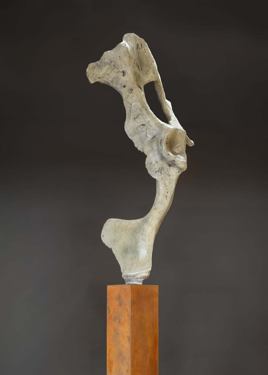 Abstract bronze sculpture by Nicola Godden titled “Bone Form VI”, featuring an elongated organic form with a hollowed negative space near the upper section, inspired by skeletal and geological structures. The sculpture rises vertically from a tall rusted steel plinth, with a softly textured, patinated bronze surface that emphasises erosion, balance, and the quiet strength of natural forms within contemporary sculptural practice.
