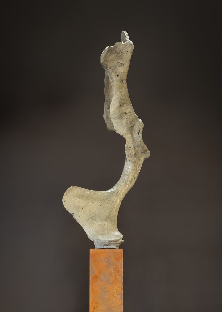 Abstract bronze sculpture by Nicola Godden titled “Bone Form VI”, featuring an elongated organic form with a hollowed negative space near the upper section, inspired by skeletal and geological structures. The sculpture rises vertically from a tall rusted steel plinth, with a softly textured, patinated bronze surface that emphasises erosion, balance, and the quiet strength of natural forms within contemporary sculptural practice.