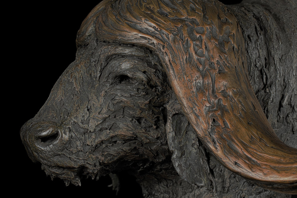 Textured bronze sculpture of a buffalo head with exaggerated, flowing horns and a rough, organic surface finish