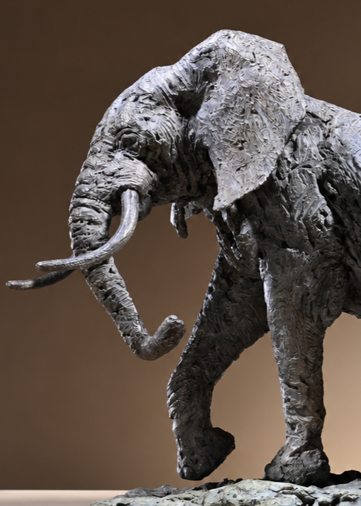 ‘Elephant Bull: Large’ by Hamish Mackie, a limited-edition bronze wildlife sculpture depicting a powerful African bull elephant stepping backwards with its head raised, trunk curled upwards, long curved tusks and tail lifted. Finished in dark grey bronze with richly textured skin and detailed muscular features, the sculpture captures the strength, intelligence and alert character of an African elephant standing on a rugged naturalistic base.