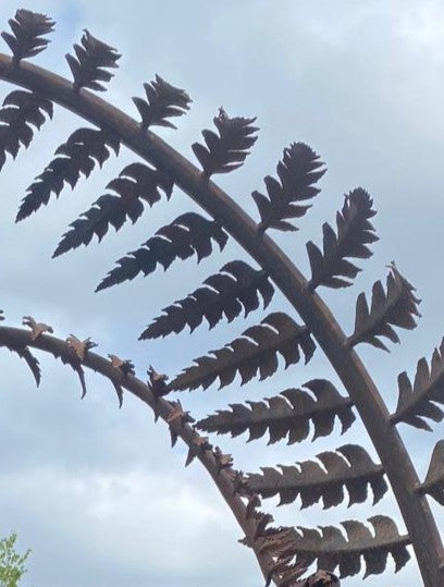 Towering corten steel fern sculptures form elegant archways within a lush garden landscape. Each sculptural frond, handcrafted from weathered steel, curves gracefully overhead and is designed as a water feature, releasing timed droplets into a pool below to create a tranquil, rhythmic ripple effect.