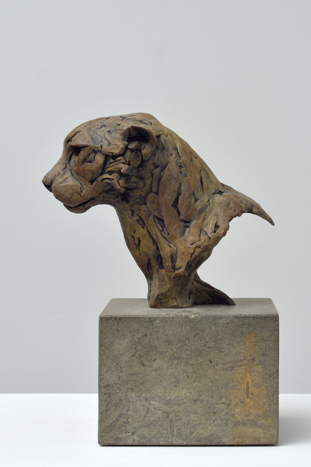 Bronze bust of a cheetah with stylised surface detailing and smooth curves, mounted on a stone plinth
