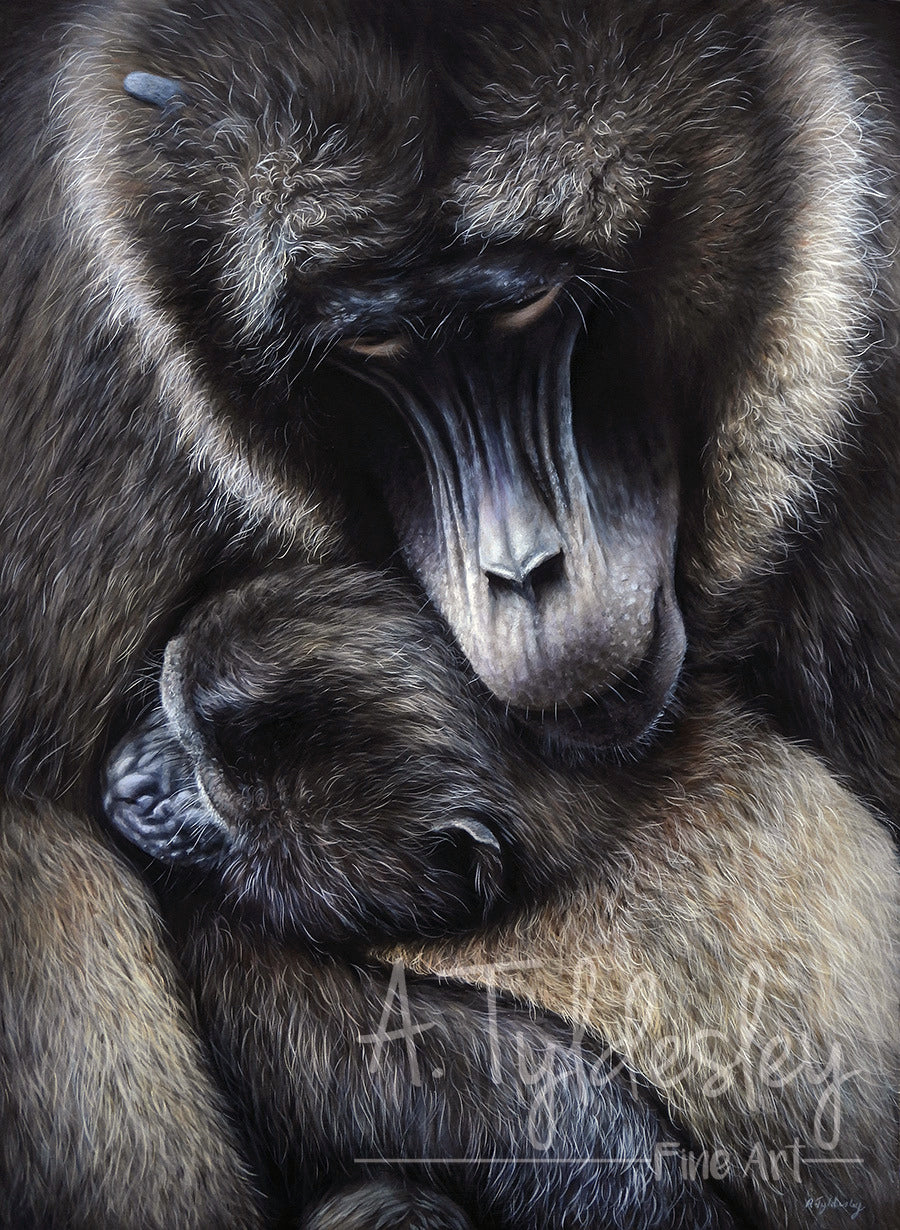 A tender close-up of a gelada baboon cradling its sleeping baby, both wrapped in soft, brown fur with rich highlights.