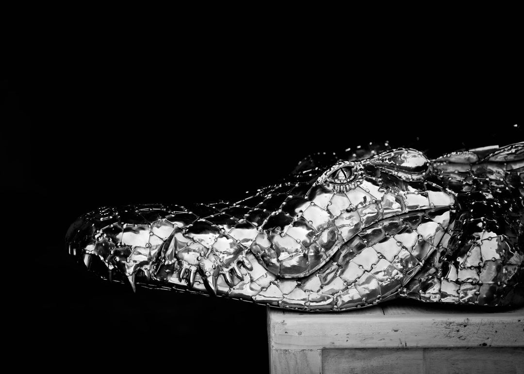 ‘Crocodile on a Box’ by Michael Turner, a unique, one-of-one stainless steel wildlife sculpture depicting a life-size crocodile resting across a large wooden crate. Handcrafted from intricately shaped and welded stainless steel, the crocodile features individually detailed silver scales, powerful jaws, raised ridges along its back, muscular legs and a long tail extending over the edge. The rustic brown timber box features a metal hatch, locking mechanism and bold black DANGER lettering, creating a striking 