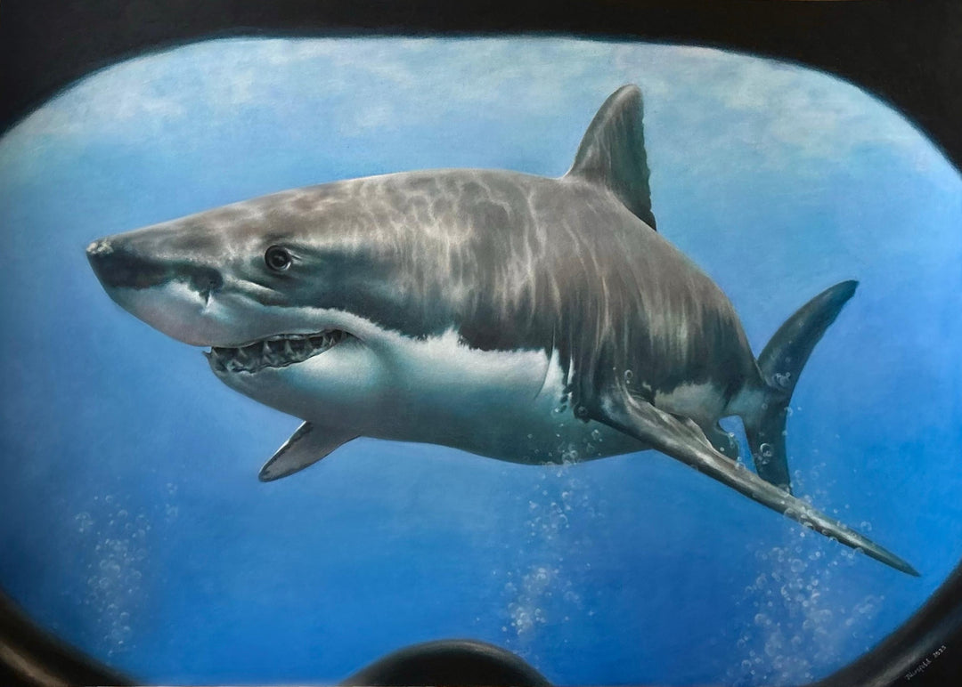 Great White, an original coloured pencil artwork on dark grey Pastelmat board, depicting a hyperrealistic great white shark seen through the curved lens of a diver’s mask, with vivid blue ocean depth, light reflections, and lifelike detailing.