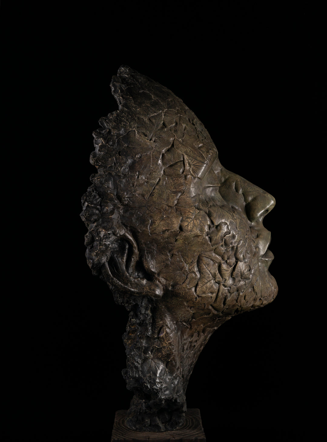 Contemplative bronze sculpture of a human face with closed eyes, tilted gently upward as if listening to the sounds of the forest. The surface is intricately detailed with embossed leaves and natural textures, merging human and woodland forms. With a rich patinated finish and mounted on a dark wooden plinth, this serene head sculpture symbolises quiet connection to nature, tree communication, and environmental awareness.