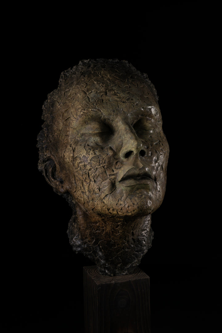 Contemplative bronze sculpture of a human face with closed eyes, tilted gently upward as if listening to the sounds of the forest. The surface is intricately detailed with embossed leaves and natural textures, merging human and woodland forms. With a rich patinated finish and mounted on a dark wooden plinth, this serene head sculpture symbolises quiet connection to nature, tree communication, and environmental awareness.