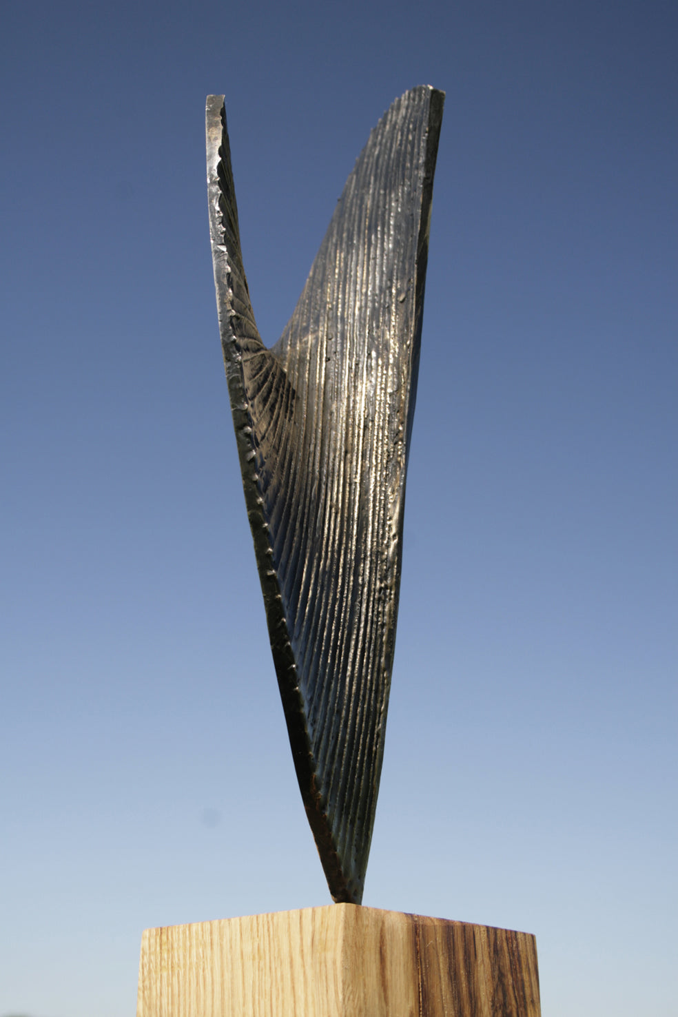 Polished bronze sculpture titled Eclipse by Thomas Joynes, shown from multiple angles against a clear blue sky. The sculpture features a spiralling, shell-inspired form derived from the Fibonacci sequence. One side is mirror-polished to a high reflective sheen, while the opposite side has a dark patina with radiating textured grooves. The work is mounted on a natural wood plinth, balancing organic form with precise geometry in a compact, vertical orientation.