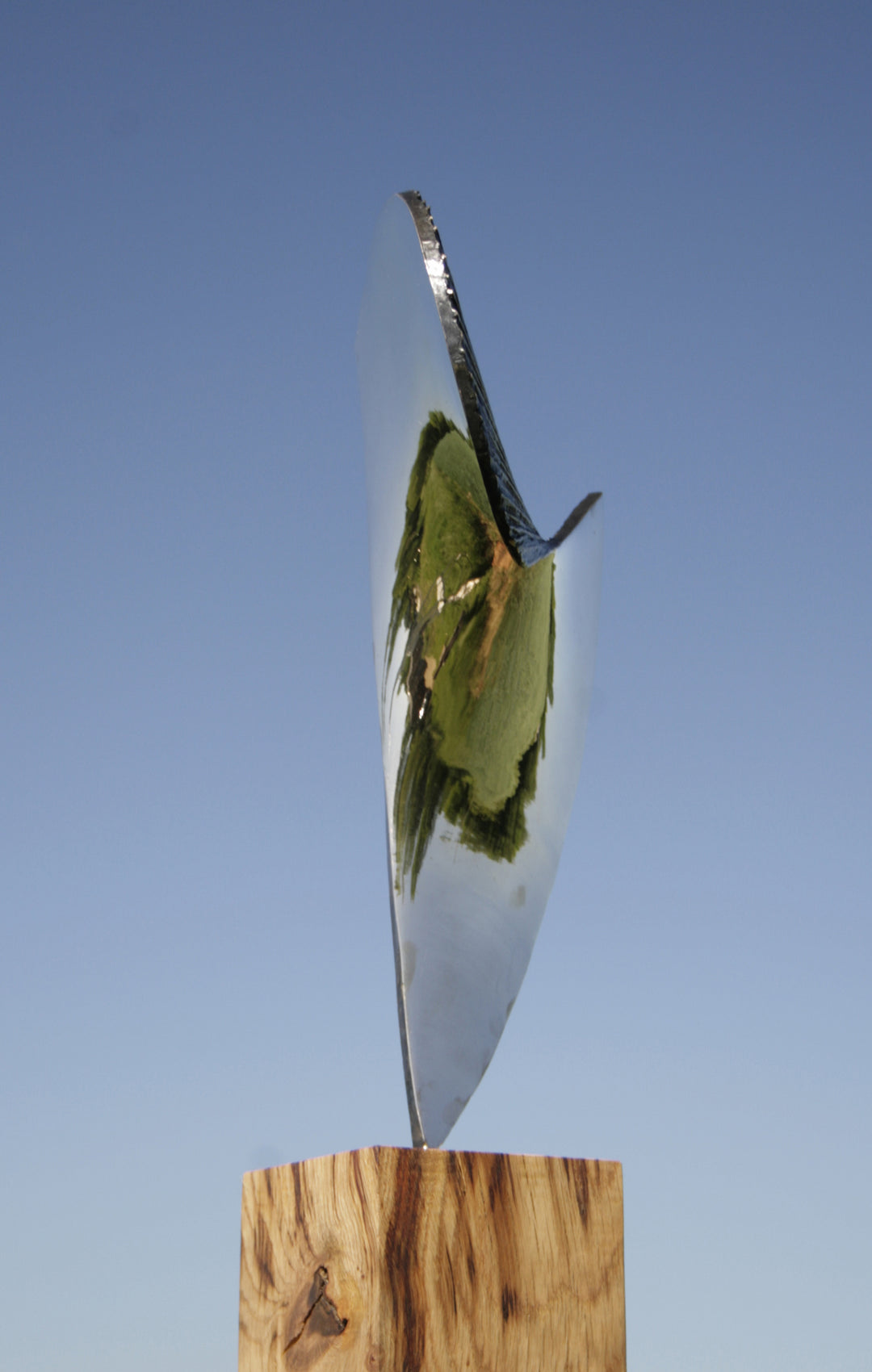 Polished bronze sculpture titled Eclipse by Thomas Joynes, shown from multiple angles against a clear blue sky. The sculpture features a spiralling, shell-inspired form derived from the Fibonacci sequence. One side is mirror-polished to a high reflective sheen, while the opposite side has a dark patina with radiating textured grooves. The work is mounted on a natural wood plinth, balancing organic form with precise geometry in a compact, vertical orientation.