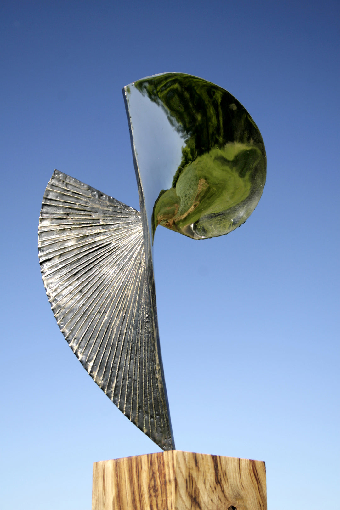 Polished bronze sculpture titled Eclipse by Thomas Joynes, shown from multiple angles against a clear blue sky. The sculpture features a spiralling, shell-inspired form derived from the Fibonacci sequence. One side is mirror-polished to a high reflective sheen, while the opposite side has a dark patina with radiating textured grooves. The work is mounted on a natural wood plinth, balancing organic form with precise geometry in a compact, vertical orientation.