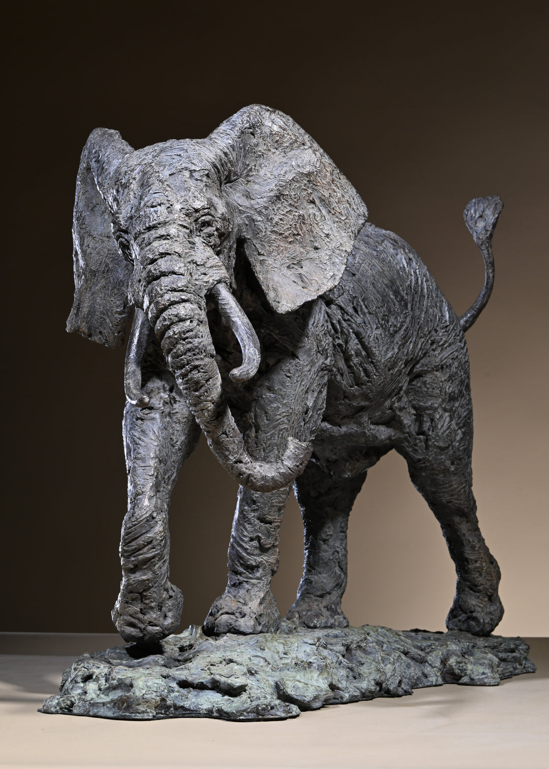 ‘Elephant Bull: Large’ by Hamish Mackie, a limited-edition bronze wildlife sculpture depicting a powerful African bull elephant stepping backwards with its head raised, trunk curled upwards, long curved tusks and tail lifted. Finished in dark grey bronze with richly textured skin and detailed muscular features, the sculpture captures the strength, intelligence and alert character of an African elephant standing on a rugged naturalistic base.