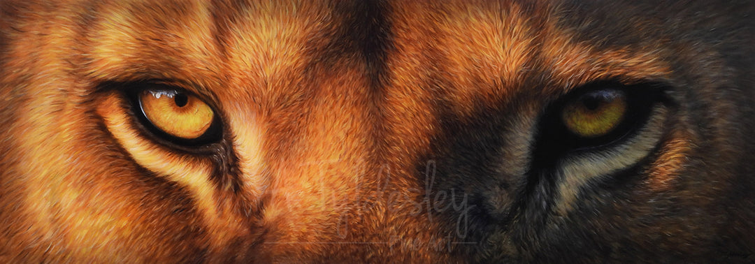 Close-up painting of a lion's and wolf's eyes, side by side, with intense golden-yellow irises and detailed fur textures.