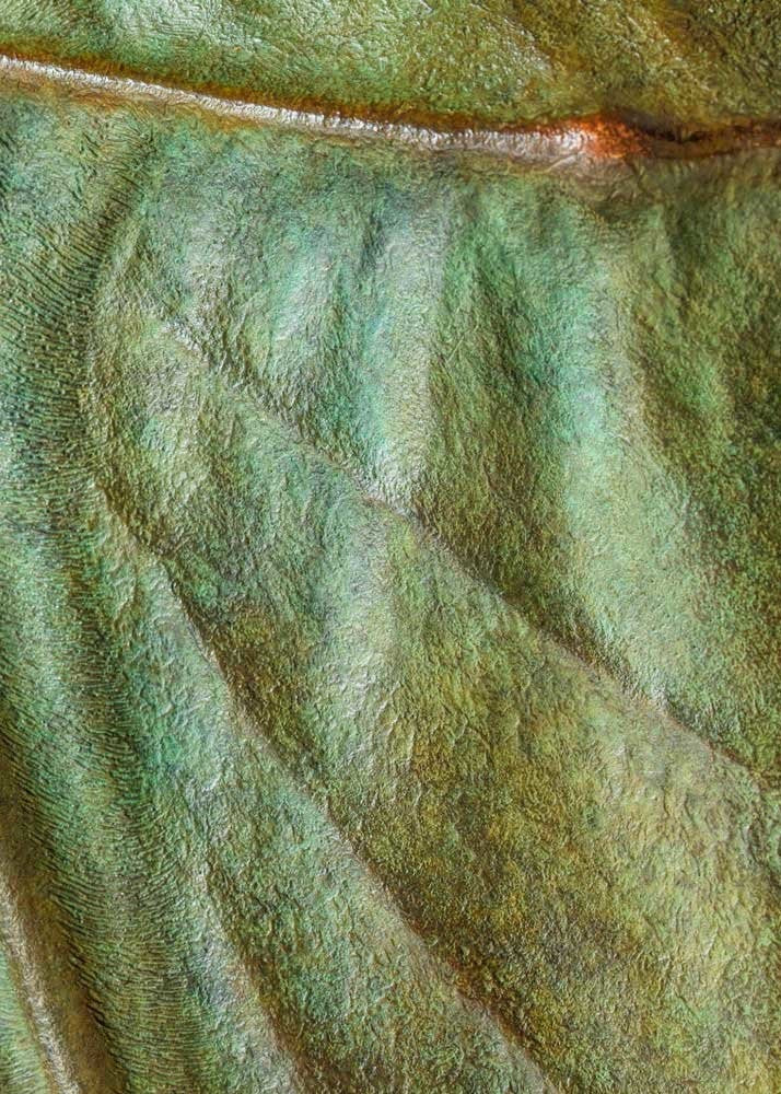 Bronze Firedrake dragon maquette by Nick Bibby, shown mid-leap with outstretched wings, spined tail and verdigris patina, blending anatomical realism with dramatic, creature-like detailing on a tall textured plinth.