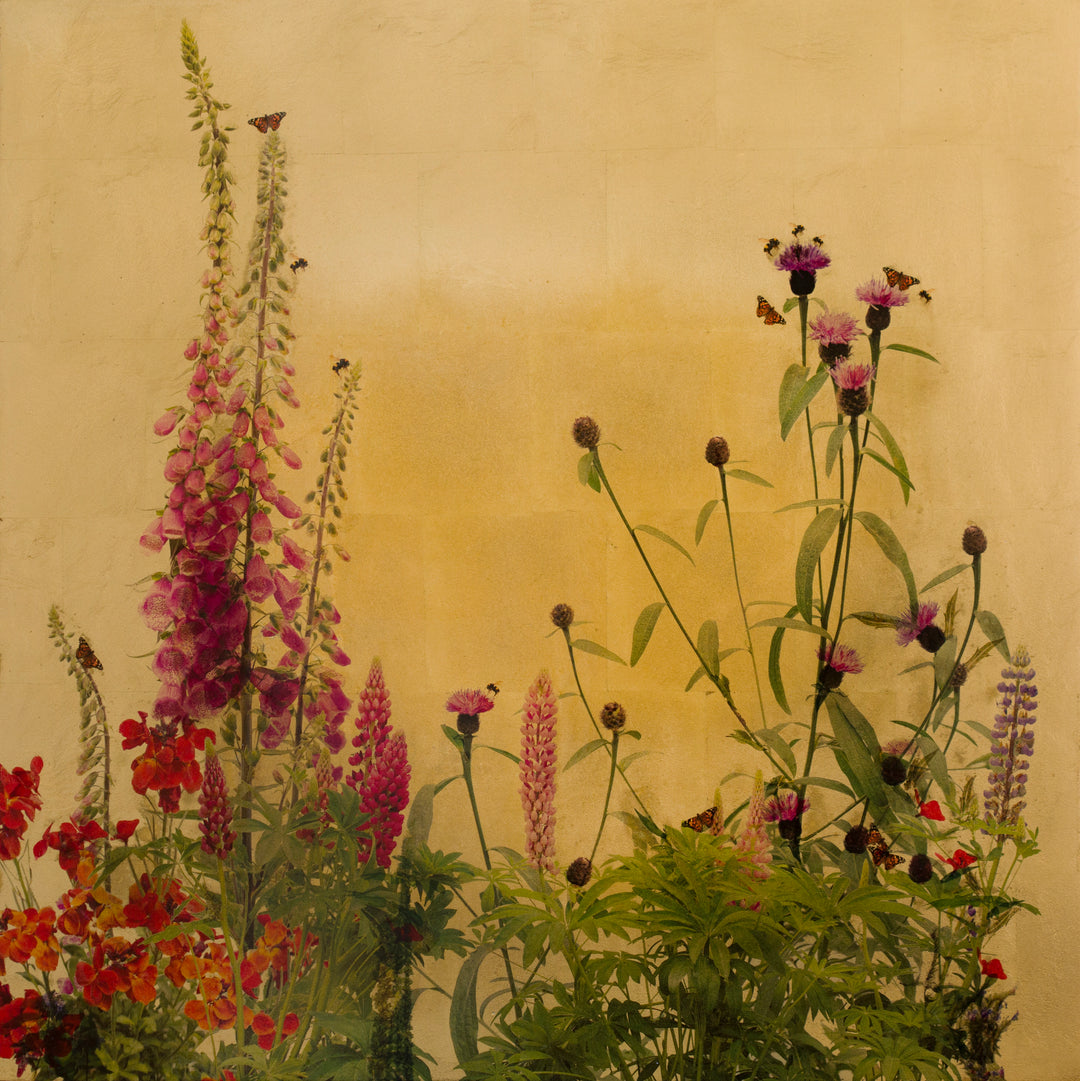Robert Pereira Hind’s Fera Lupinis, a vibrant mixed media artwork from the Out of Eden series, depicting a summer garden in full bloom. Tall pink foxgloves, vivid lupins, and scarlet flowers rise against a luminous gold-leaf background, alive with bees and butterflies. Created using acrylic paint and organic photographic pigment on a gilded wooden panel, finished with shellac and art glazes, the work is designed to naturally oxidise over decades—developing a rich patina that enhances its warmth and depth.
