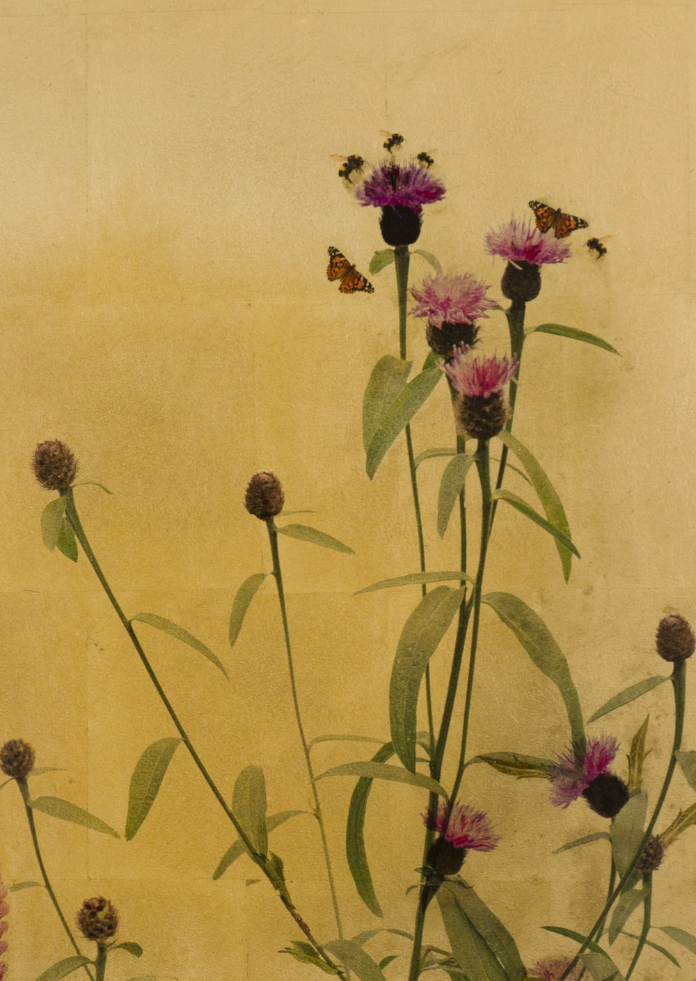 Robert Pereira Hind’s Fera Lupinis, a vibrant mixed media artwork from the Out of Eden series, depicting a summer garden in full bloom. Tall pink foxgloves, vivid lupins, and scarlet flowers rise against a luminous gold-leaf background, alive with bees and butterflies. Created using acrylic paint and organic photographic pigment on a gilded wooden panel, finished with shellac and art glazes, the work is designed to naturally oxidise over decades—developing a rich patina that enhances its warmth and depth.