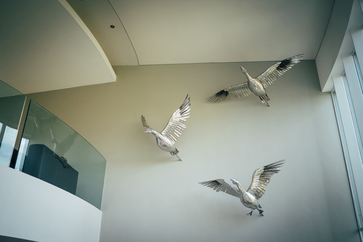 ‘Flying Geese’ by Michael Turner, a unique contemporary stainless steel bird sculpture featuring three geese captured in flight with their wings fully extended. Handcrafted from marine-grade stainless steel, each bird features intricately shaped metallic feathers, detailed wings and a highly polished silver mirror finish. Suspended at different heights within a modern architectural interior, the sculptures create a striking sense of movement, freedom and natural elegance while reflecting the surrounding lig