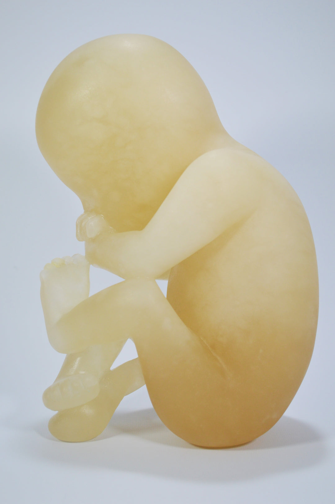 Deborah Harrison alabaster sculpture Foetus, one-off hand-carved work in translucent champagne alabaster, depicting a curled unborn child in the womb-like position, with soft organic form and warm golden glow, symbolising life, vulnerability, and spiritual beginnings.
