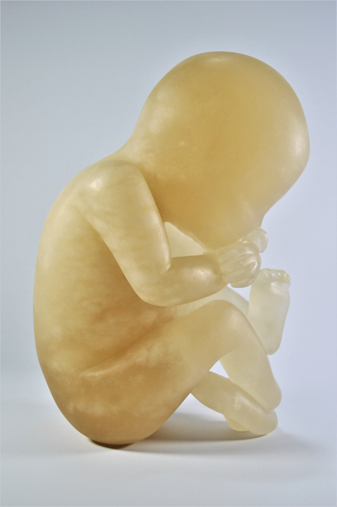 Deborah Harrison alabaster sculpture Foetus, one-off hand-carved work in translucent champagne alabaster, depicting a curled unborn child in the womb-like position, with soft organic form and warm golden glow, symbolising life, vulnerability, and spiritual beginnings.