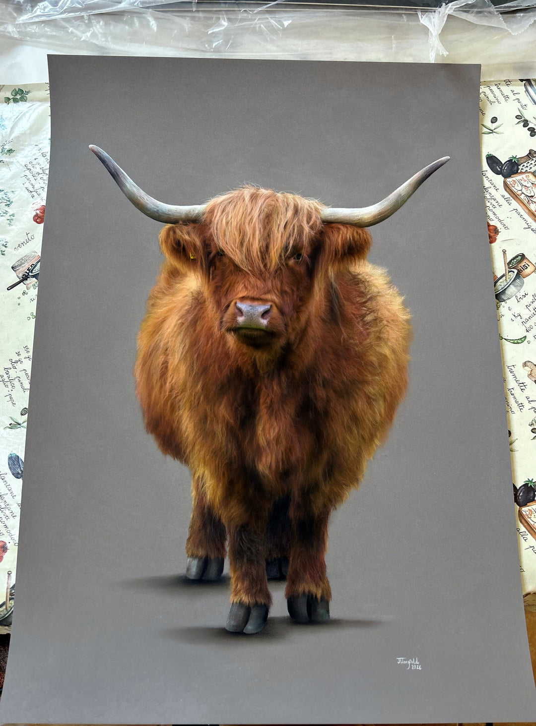‘Fraser’ Highland bull by Jemma Worsfold, hyper-realistic coloured pencil wall art featuring a front-facing Scottish Highland cow with rich auburn, brown and ginger coat, grey horns and neutral grey background