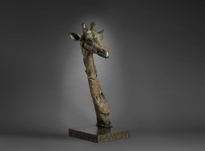 Limited edition bronze giraffe bust sculpture by Fred Gordon. The tall, elegant giraffe head and neck rise gracefully from a textured bronze base, capturing the animal’s gentle presence and watchful expression. With its elongated form, detailed features, and warm patina of earthy browns, greens, and golden highlights, the sculpture blends realism with contemporary abstraction. Signed and numbered, it reflects both artistry and reverence for wildlife.