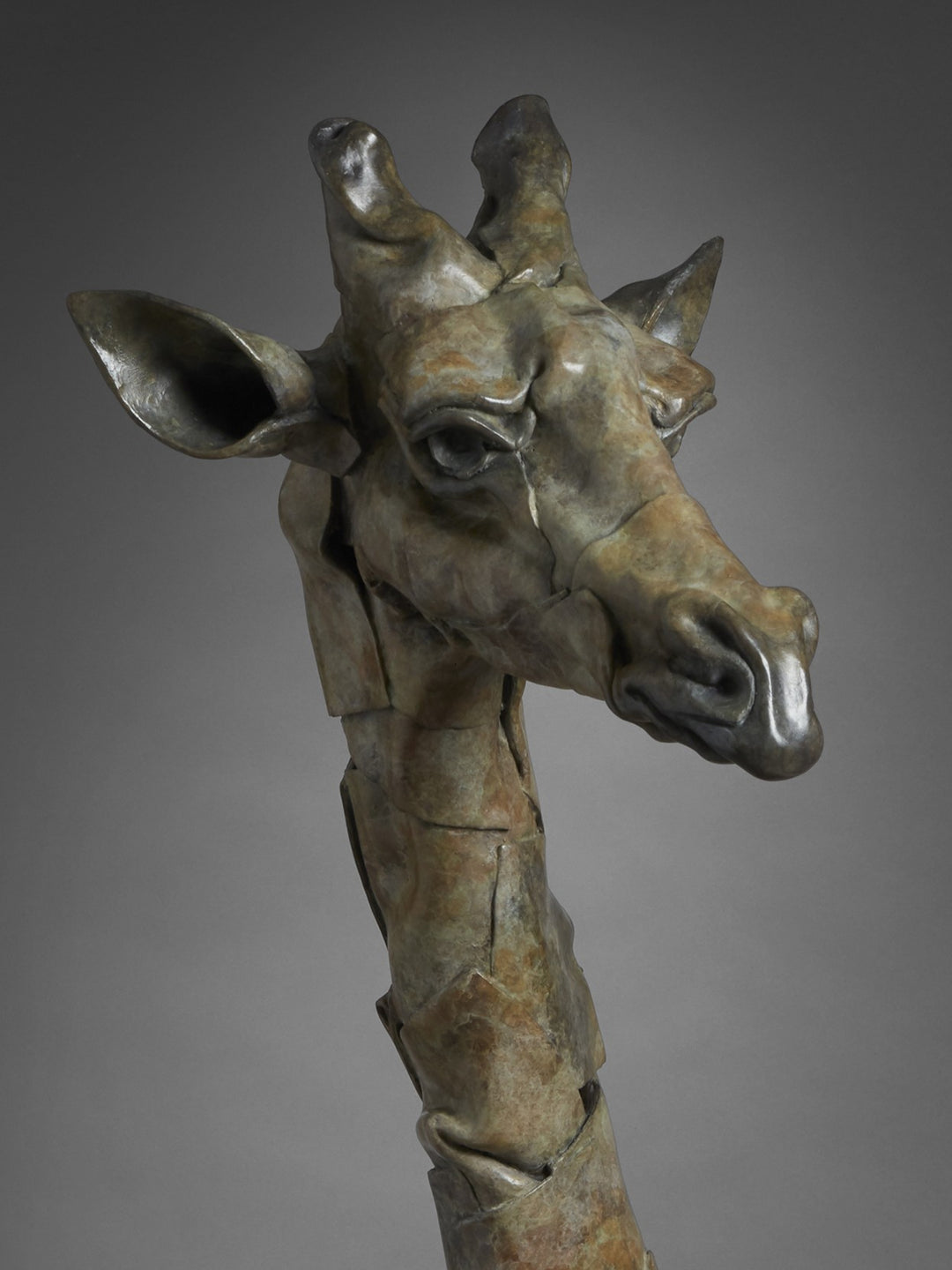 Limited edition bronze giraffe bust sculpture by Fred Gordon. The tall, elegant giraffe head and neck rise gracefully from a textured bronze base, capturing the animal’s gentle presence and watchful expression. With its elongated form, detailed features, and warm patina of earthy browns, greens, and golden highlights, the sculpture blends realism with contemporary abstraction. Signed and numbered, it reflects both artistry and reverence for wildlife.
