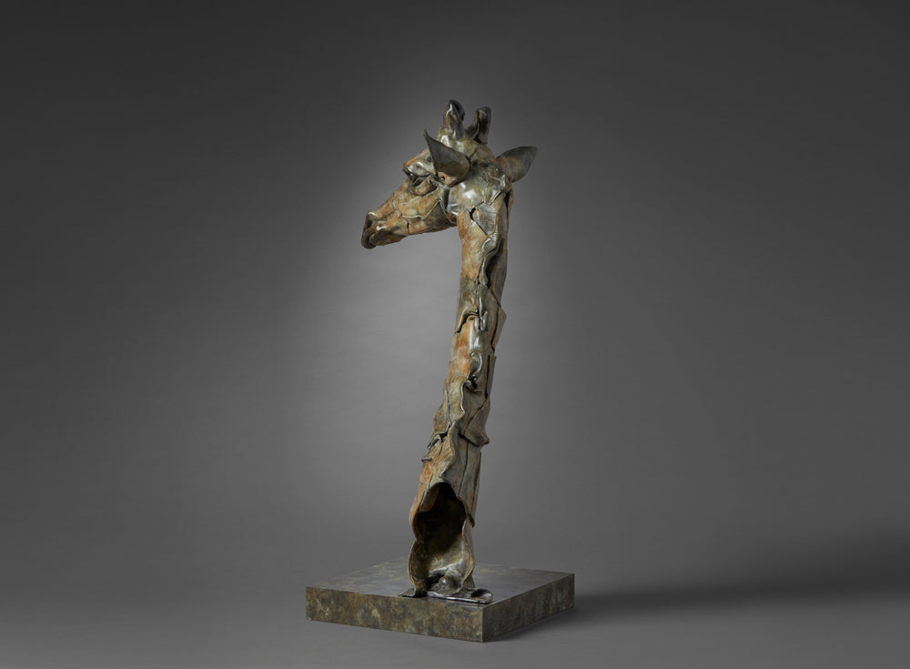Limited edition bronze giraffe bust sculpture by Fred Gordon. The tall, elegant giraffe head and neck rise gracefully from a textured bronze base, capturing the animal’s gentle presence and watchful expression. With its elongated form, detailed features, and warm patina of earthy browns, greens, and golden highlights, the sculpture blends realism with contemporary abstraction. Signed and numbered, it reflects both artistry and reverence for wildlife.