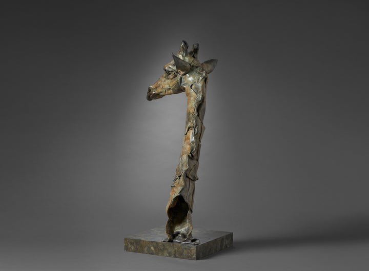 Limited edition bronze giraffe bust sculpture by Fred Gordon. The tall, elegant giraffe head and neck rise gracefully from a textured bronze base, capturing the animal’s gentle presence and watchful expression. With its elongated form, detailed features, and warm patina of earthy browns, greens, and golden highlights, the sculpture blends realism with contemporary abstraction. Signed and numbered, it reflects both artistry and reverence for wildlife.
