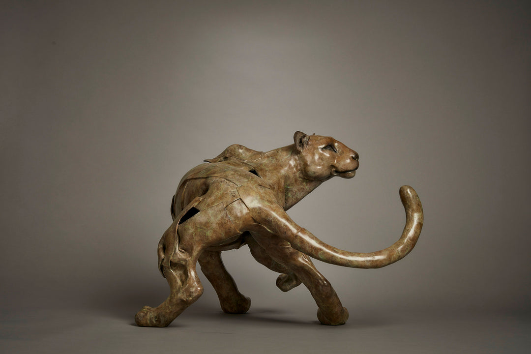 Limited edition bronze leopard sculpture by British wildlife sculptor Fred Gordon. The big cat is shown mid-stride, tail curled dramatically and body tense with movement, capturing the grace, stealth, and raw energy of a leopard on the move. The surface is richly patinated with earthy tones of bronze, green, and subtle golden-brown hues, enhancing the muscular detail and lifelike presence. Signed and numbered, this work embodies strength, elegance, and the spirit of the wild.