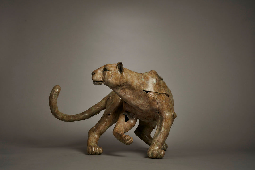 Limited edition bronze leopard sculpture by British wildlife sculptor Fred Gordon. The big cat is shown mid-stride, tail curled dramatically and body tense with movement, capturing the grace, stealth, and raw energy of a leopard on the move. The surface is richly patinated with earthy tones of bronze, green, and subtle golden-brown hues, enhancing the muscular detail and lifelike presence. Signed and numbered, this work embodies strength, elegance, and the spirit of the wild.