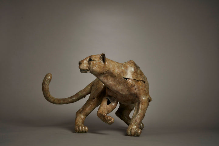 Limited edition bronze leopard sculpture by British wildlife sculptor Fred Gordon. The big cat is shown mid-stride, tail curled dramatically and body tense with movement, capturing the grace, stealth, and raw energy of a leopard on the move. The surface is richly patinated with earthy tones of bronze, green, and subtle golden-brown hues, enhancing the muscular detail and lifelike presence. Signed and numbered, this work embodies strength, elegance, and the spirit of the wild.