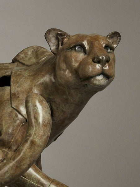 Limited edition bronze leopard sculpture by British wildlife sculptor Fred Gordon. The big cat is shown mid-stride, tail curled dramatically and body tense with movement, capturing the grace, stealth, and raw energy of a leopard on the move. The surface is richly patinated with earthy tones of bronze, green, and subtle golden-brown hues, enhancing the muscular detail and lifelike presence. Signed and numbered, this work embodies strength, elegance, and the spirit of the wild.
