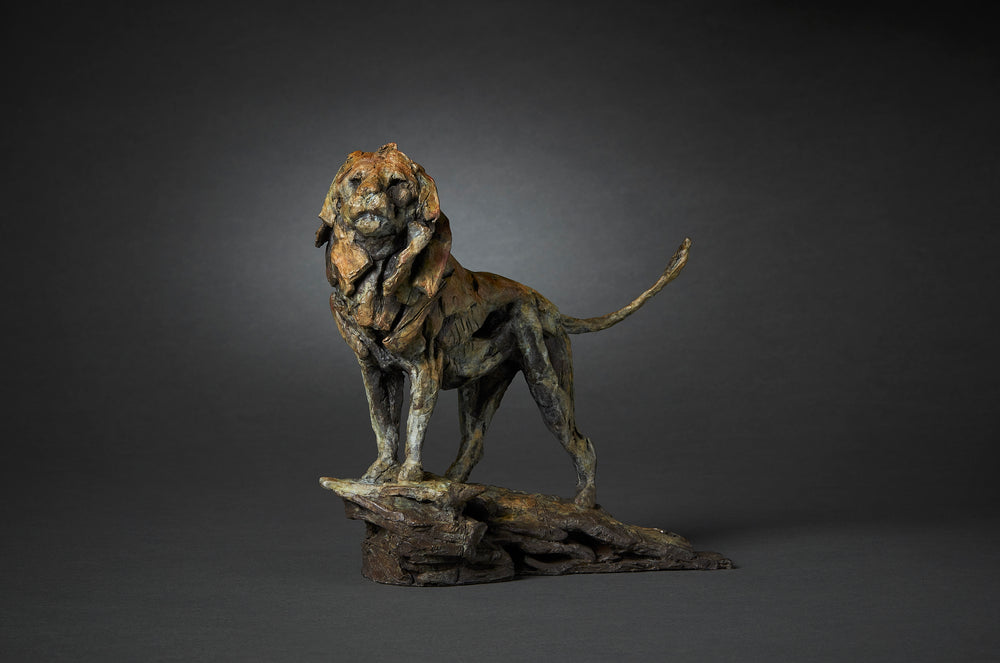 Limited edition bronze lion sculpture by British wildlife sculptor Fred Gordon. The lion stands tall and proud on a rocky base, mane flowing with strong sculptural texture. The bronze surface is richly patinated in earthy tones of deep brown, green, ochre, and subtle hints of red, creating a sense of power and majesty. The pose captures the lion in a moment of still vigilance, tail curved upwards, evoking strength, dignity, and natural authority.