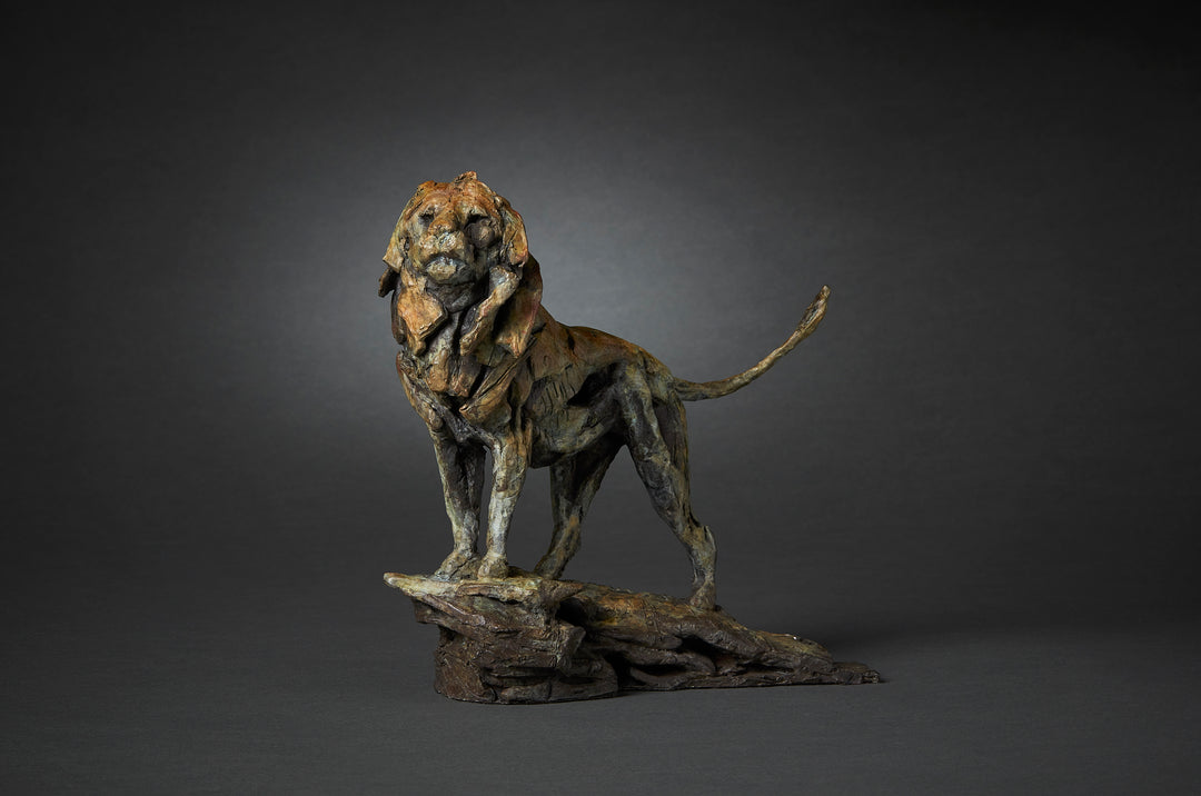 Limited edition bronze lion sculpture by British wildlife sculptor Fred Gordon. The lion stands tall and proud on a rocky base, mane flowing with strong sculptural texture. The bronze surface is richly patinated in earthy tones of deep brown, green, ochre, and subtle hints of red, creating a sense of power and majesty. The pose captures the lion in a moment of still vigilance, tail curved upwards, evoking strength, dignity, and natural authority.