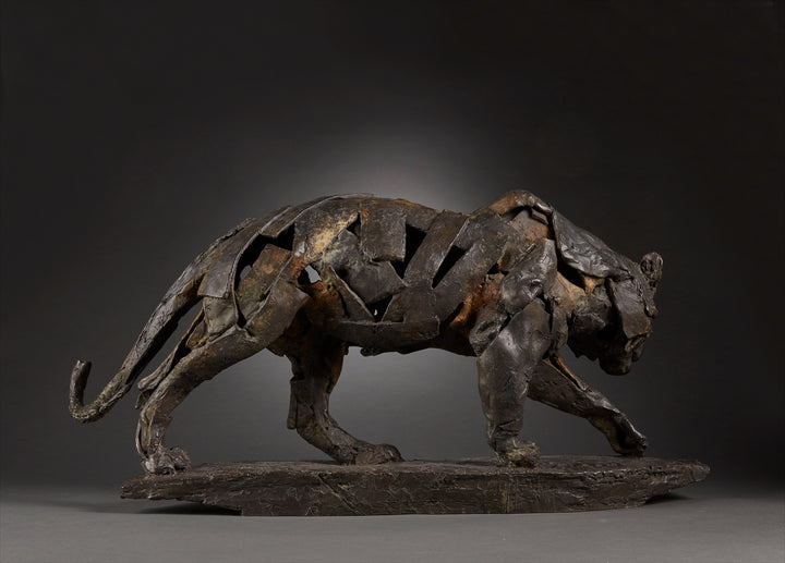 Limited edition bronze sculpture of a walking tiger by Fred Gordon. The piece shows the tiger mid-stride, muscles and movement captured through layered bronze planes that give a sense of both strength and fluidity. Rich dark patinas with earthy highlights emphasise the texture of the bronze, evoking the raw power and grace of this endangered predator. Signed and numbered in an edition of 12, the sculpture blends realism with abstraction, making it a striking wildlife artwork.