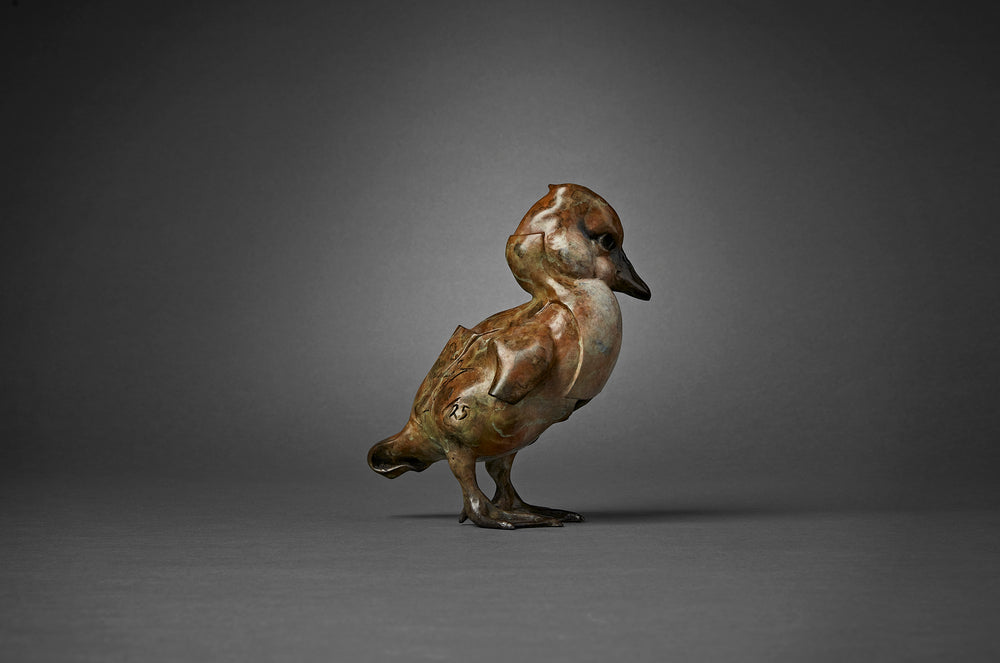 Limited edition bronze sculpture of a duckling titled Winged Duckling by British sculptor Fred Gordon. The piece captures the fragile, curious stance of a young bird with folded wings and soft rounded form, enhanced by a textured surface and fine detailing. Finished with a natural bronze patina in earthy browns, greens, and subtle dark highlights, the work stands on its own base. Signed, numbered, and cast in a small edition of 25, this intimate wildlife artwork combines lifelike sculptural design