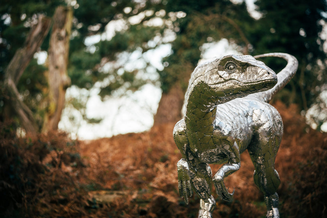 ‘Velociraptor’ by Michael Turner, a unique, one-of-one stainless steel dinosaur sculpture depicting a powerful velociraptor in an alert, dynamic pose. Handcrafted from intricately shaped and welded stainless steel, the sculpture features a polished silver finish, individually detailed metallic scales, muscular hind legs, sharp curved claws, smaller forelimbs and a long, sweeping tail. Standing on a rectangular stainless steel base, this large-scale contemporary sculpture captures the agility and predatory c