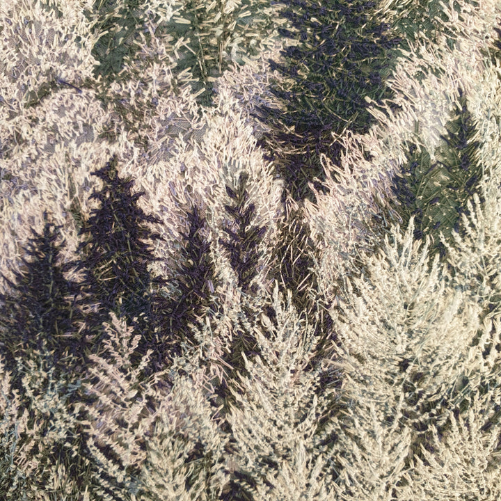 FROSTED FOREST (Original)