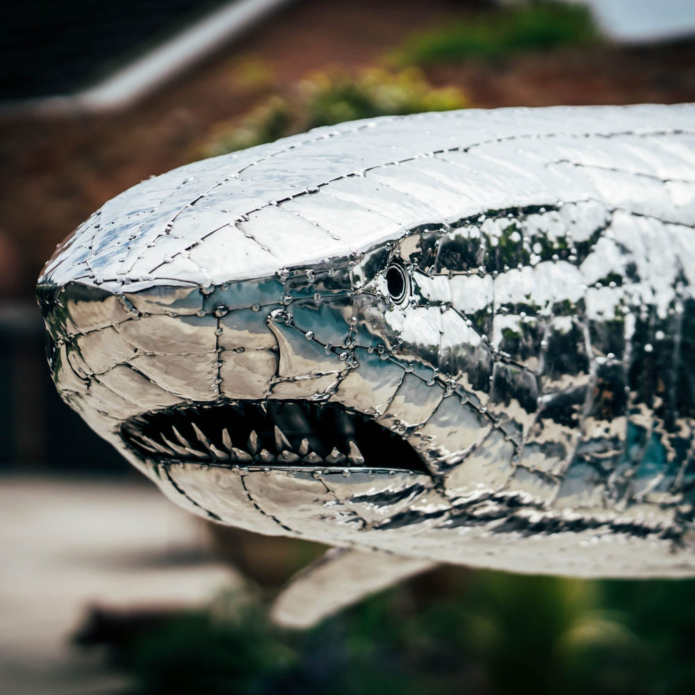 ‘Great White’ by Michael Turner, a unique, one-of-one stainless steel marine wildlife sculpture depicting a powerful great white shark swimming with its mouth partially open, exposing rows of sharp triangular teeth. Handcrafted from intricately shaped and welded stainless steel, the sculpture features a polished silver finish, detailed metallic skin, distinctive dorsal and pectoral fins and a sweeping tail. Mounted on a curved black metal support with a rectangular base, this large-scale contemporary sculpt