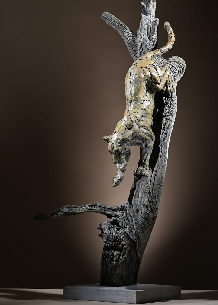 ‘Leopard Climbing Down a Tree’ by Hamish Mackie, a limited-edition bronze wildlife sculpture depicting an African leopard descending headfirst down a tall, weathered tree trunk. The leopard's muscular body, extended forelegs and curved tail capture the animal's extraordinary agility and balance. Finished in natural earthy bronze tones, the sculpture features a highly textured tree trunk mounted on a rectangular Purbeck limestone base, inspired by the artist's wildlife observations in the Serengeti.