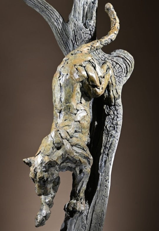 LEOPARD CLIMBING DOWN A TREE (Limited Edition of 12)
