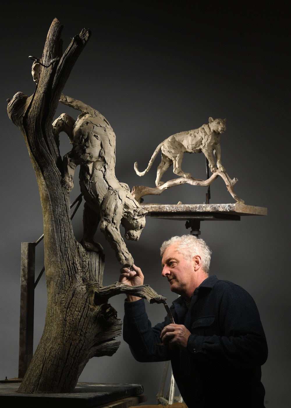 ‘Leopard Climbing Down a Tree’ by Hamish Mackie, a limited-edition bronze wildlife sculpture depicting an African leopard descending headfirst down a tall, weathered tree trunk. The leopard's muscular body, extended forelegs and curved tail capture the animal's extraordinary agility and balance. Finished in natural earthy bronze tones, the sculpture features a highly textured tree trunk mounted on a rectangular Purbeck limestone base, inspired by the artist's wildlife observations in the Serengeti.