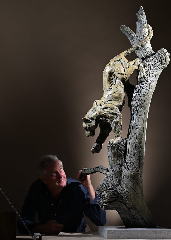 ‘Leopard Climbing Down a Tree’ by Hamish Mackie, a limited-edition bronze wildlife sculpture depicting an African leopard descending headfirst down a tall, weathered tree trunk. The leopard's muscular body, extended forelegs and curved tail capture the animal's extraordinary agility and balance. Finished in natural earthy bronze tones, the sculpture features a highly textured tree trunk mounted on a rectangular Purbeck limestone base, inspired by the artist's wildlife observations in the Serengeti.