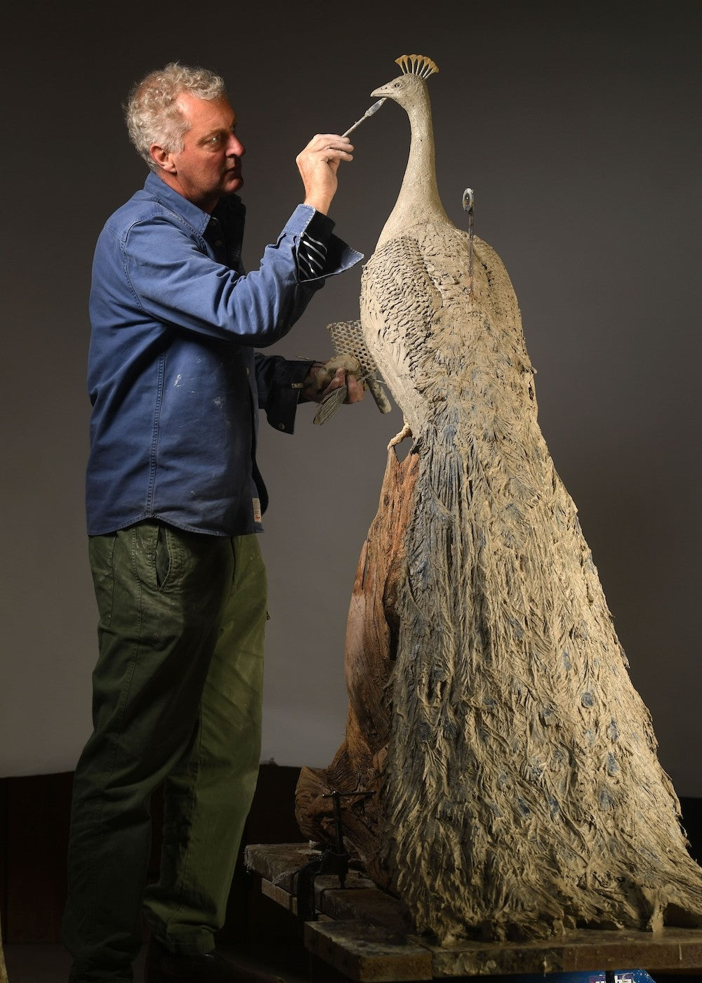 ‘Peacock Life Size’ by Hamish Mackie, a life-size limited-edition bronze bird sculpture depicting a majestic peacock standing upright on an ancient, weathered tree root. The sculpture features an elegant neck, finely textured plumage and an exceptionally long, folded tail cascading towards the ground. Finished in dark, natural bronze with intricate feather detailing, this contemporary wildlife sculpture captures the distinctive form and presence of a peacock.